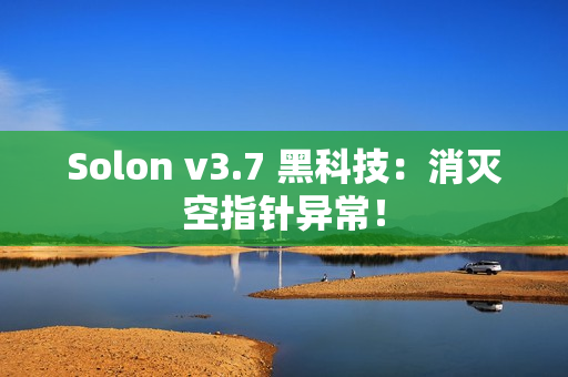 Solon v3.7 黑科技：消灭空指针异常！