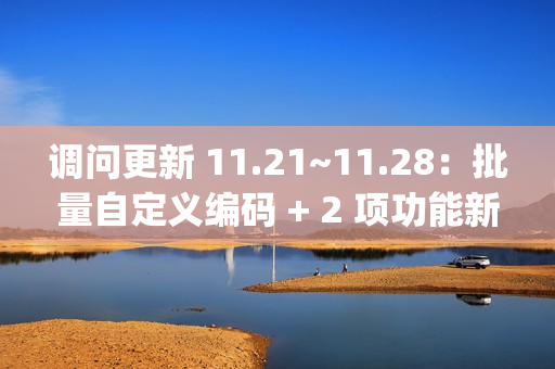 调问更新 11.21~11.28：批量自定义编码 + 2 项功能新增 + 4 项功能优化 + 7 项 BugFix