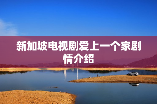 新加坡电视剧爱上一个家剧情介绍
