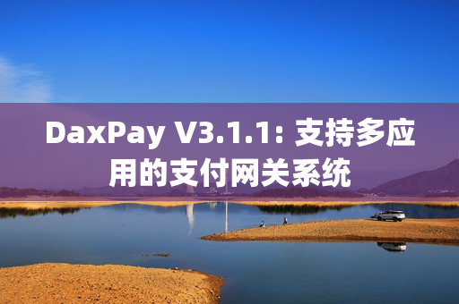 DaxPay V3.1.1: 支持多应用的支付网关系统