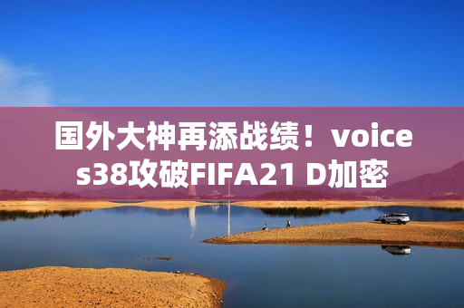 国外大神再添战绩！voices38攻破FIFA21 D加密