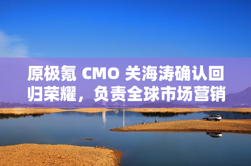 原极氪 CMO 关海涛确认回归荣耀，负责全球市场营销