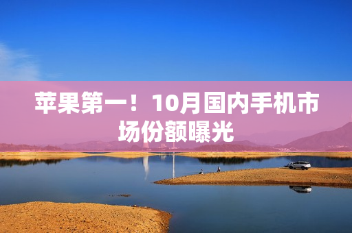 苹果第一！10月国内手机市场份额曝光