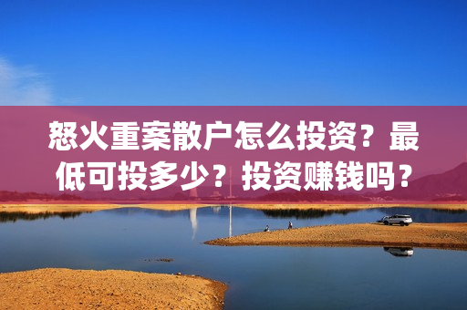 怒火重案散户怎么投资？最低可投多少？投资赚钱吗？(怒火重案投资者的收益具体有哪些呢?)