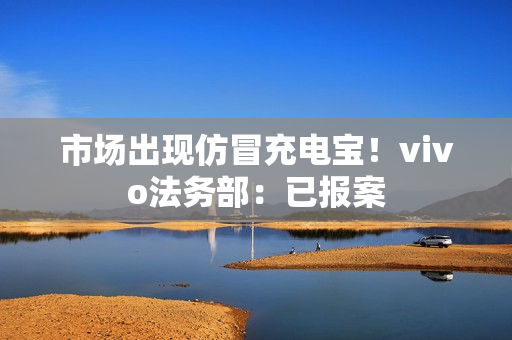 市场出现仿冒充电宝！vivo法务部：已报案