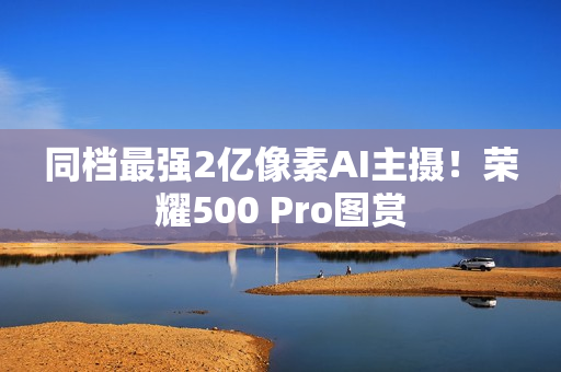 同档最强2亿像素AI主摄！荣耀500 Pro图赏