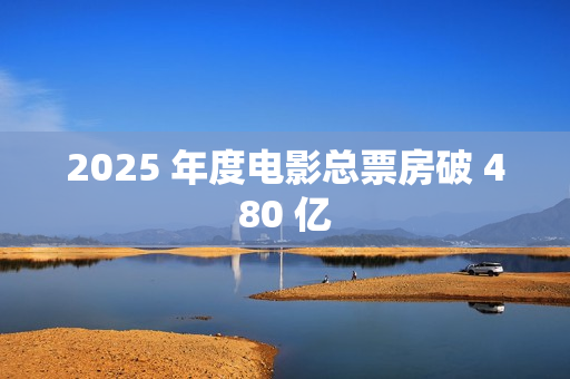 2025 年度电影总票房破 480 亿
