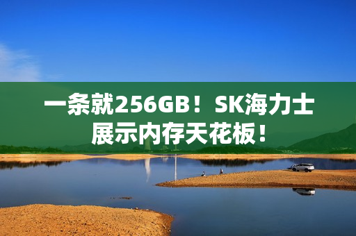 一条就256GB!SK海力士展示内存天花板! 一条就256GB!SK海力士展示内存天花板!