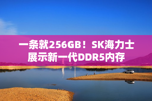 一条就256GB！SK海力士展示新一代DDR5内存