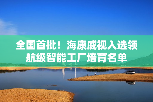 全国首批！海康威视入选领航级智能工厂培育名单