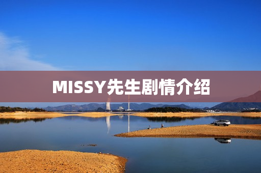 MISSY先生剧情介绍 MISSY先生剧情介绍