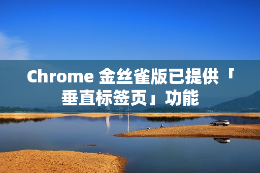 Chrome 金丝雀版已提供「垂直标签页」功能