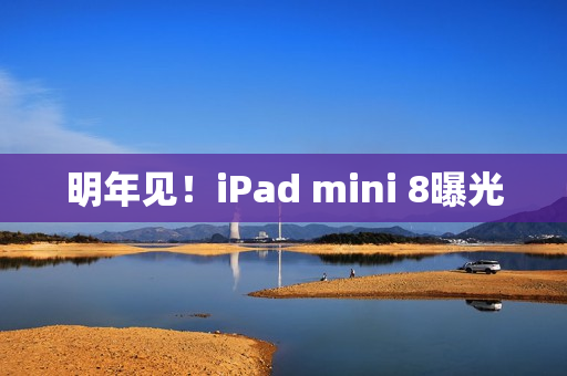 明年见！iPad mini 8曝光