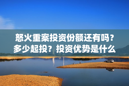 怒火重案投资份额还有吗？多少起投？投资优势是什么？(怒火重案的投资)