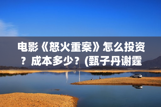 电影《怒火重案》怎么投资？成本多少？(甄子丹谢霆锋电影怒火重案)