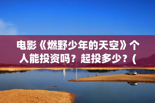 电影《燃野少年的天空》个人能投资吗？起投多少？(燃野少年 720p)