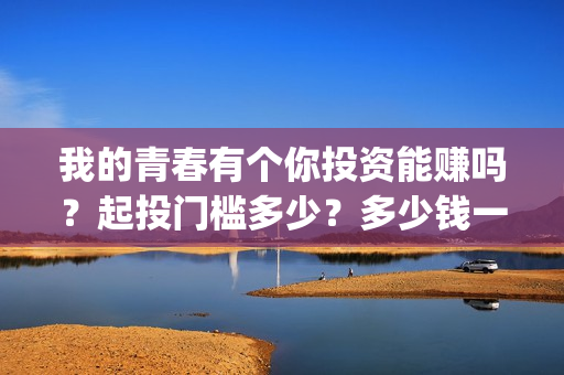 我的青春有个你投资能赚吗？起投门槛多少？多少钱一份？(我的青春有个你结局)