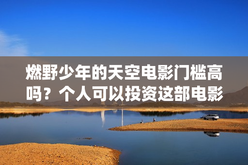 燃野少年的天空电影门槛高吗？个人可以投资这部电影吗？赚钱吗？(燃野少年的天空电视剧免费观看全集)