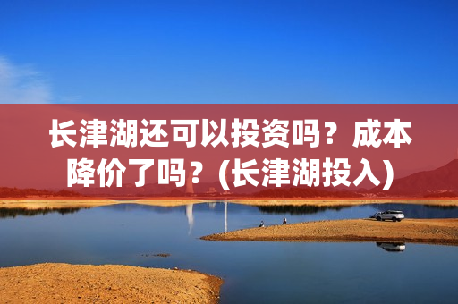 长津湖还可以投资吗？成本降价了吗？(长津湖投入)