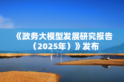 《政务大模型发展研究报告（2025年）》发布