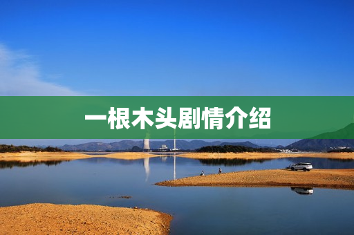 一根木头剧情介绍 一根木头剧情介绍