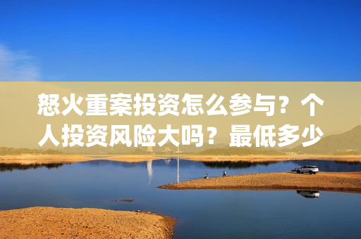 怒火重案投资怎么参与？个人投资风险大吗？最低多少起投？(怒火重案投了多少钱)