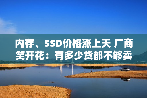 内存、SSD价格涨上天 厂商笑开花：有多少货都不够卖