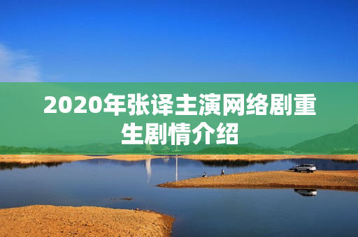 2020年张译主演网络剧重生剧情介绍