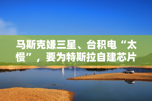 马斯克嫌三星、台积电“太慢”，要为特斯拉自建芯片工厂