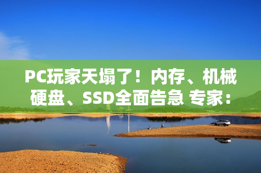 PC玩家天塌了！内存、机械硬盘、SSD全面告急 专家：将涨价十年