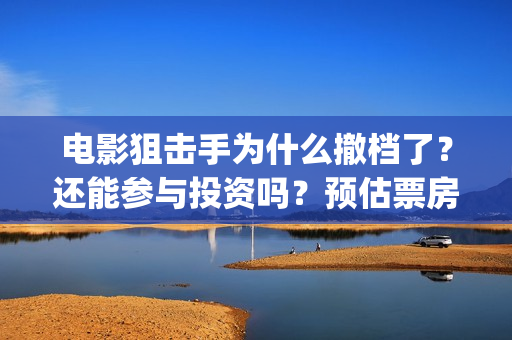 电影狙击手为什么撤档了？还能参与投资吗？预估票房能有多少呢？(狙击手电影为什么撤档)