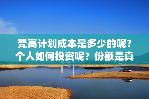 梵高计划成本是多少的呢？个人如何投资呢？份额是真实的吗、(梵高的计划)