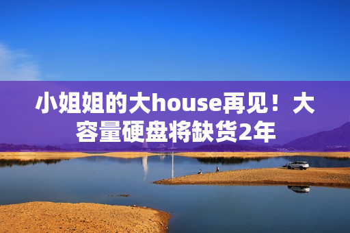 小姐姐的大house再见！大容量硬盘将缺货2年