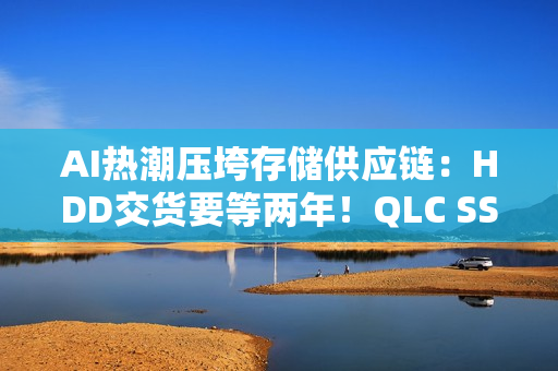 AI热潮压垮存储供应链：HDD交货要等两年！QLC SSD加速替代
