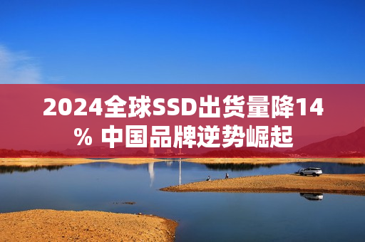 2024全球SSD出货量降14% 中国品牌逆势崛起