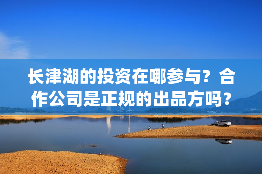 长津湖的投资在哪参与？合作公司是正规的出品方吗？(长津湖投资了几个亿)