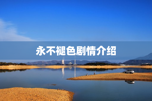 永不褪色剧情介绍