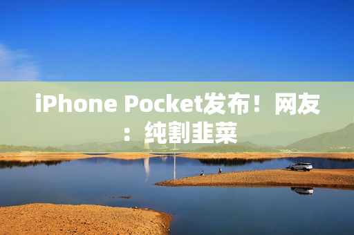 iPhone Pocket发布！网友：纯割韭菜