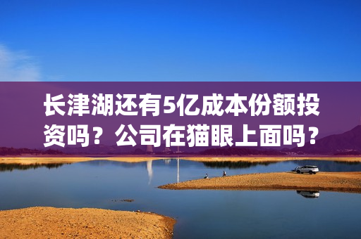 长津湖还有5亿成本份额投资吗？公司在猫眼上面吗？(长津湖45亿)