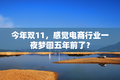 今年双11，感觉电商行业一夜梦回五年前了？