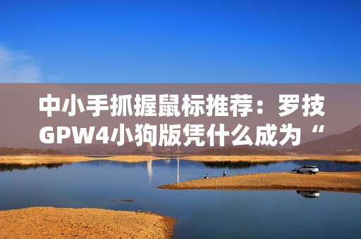 中小手抓握鼠标推荐：罗技GPW4小狗版凭什么成为“小手玩家的终极选择”？