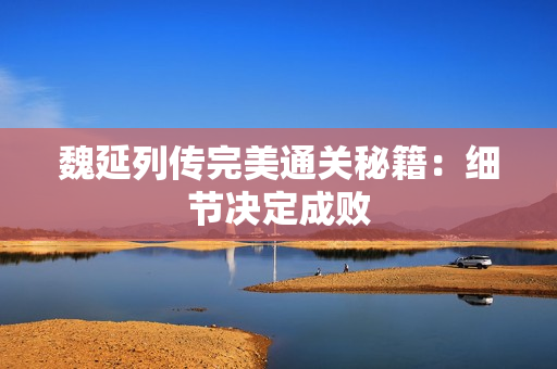 魏延列传完美通关秘籍：细节决定成败