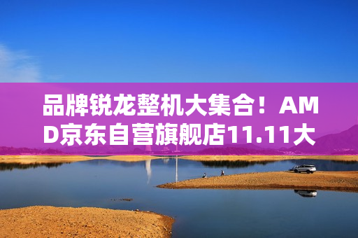 品牌锐龙整机大集合！AMD京东自营旗舰店11.11大促进行中