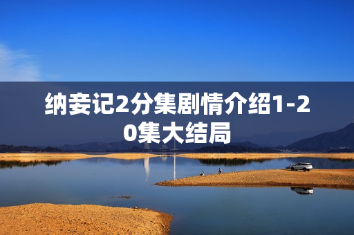 纳妾记2分集剧情介绍1-20集大结局