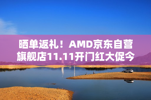 晒单返礼！AMD京东自营旗舰店11.11开门红大促今晚开启