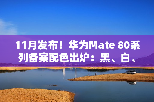 11月发布！华为Mate 80系列备案配色出炉：黑、白、紫、金、银全都有