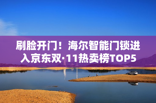 刷脸开门！海尔智能门锁进入京东双·11热卖榜TOP5