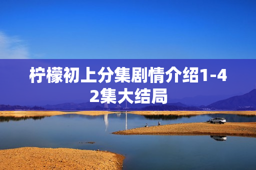 柠檬初上分集剧情介绍1-42集大结局