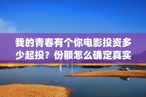 我的青春有个你电影投资多少起投？份额怎么确定真实性呢？(我的青春有个你结局)