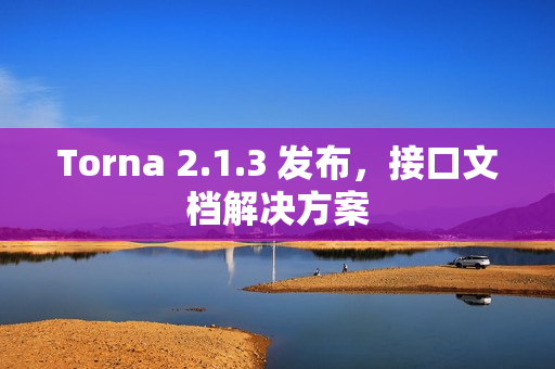 Torna 2.1.3 发布，接口文档解决方案